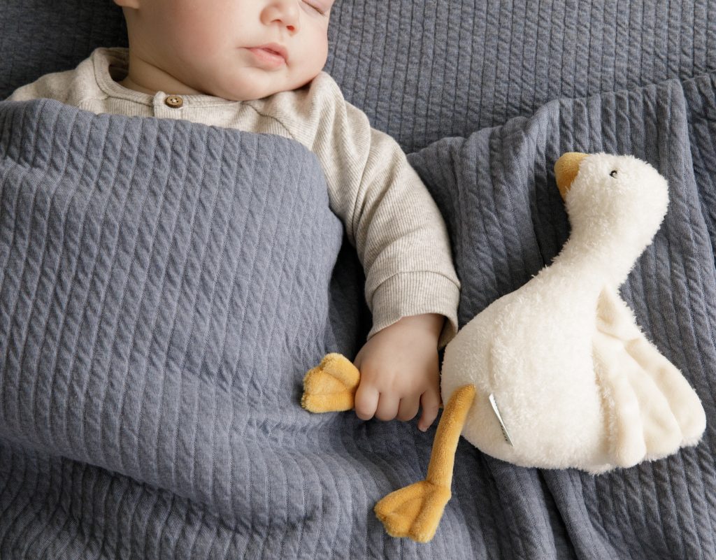 LD8504 – Cuddle Little Goose 18cm (1)