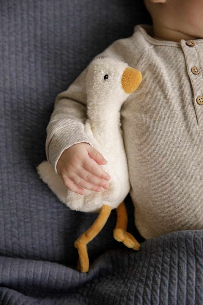 LD8504 – Cuddle Little Goose 18cm (2)