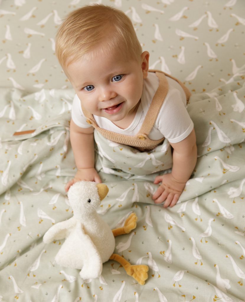 LD8504 – Cuddle Little Goose 18cm (5)