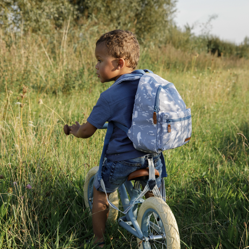 LD8001 – Balance Bike Blue Matt (6)