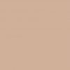 8716 – Wall Paint – Faded Rust – Product