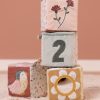 LD8716-Soft-Cubes-Set-Flowers&Butterflies (6)