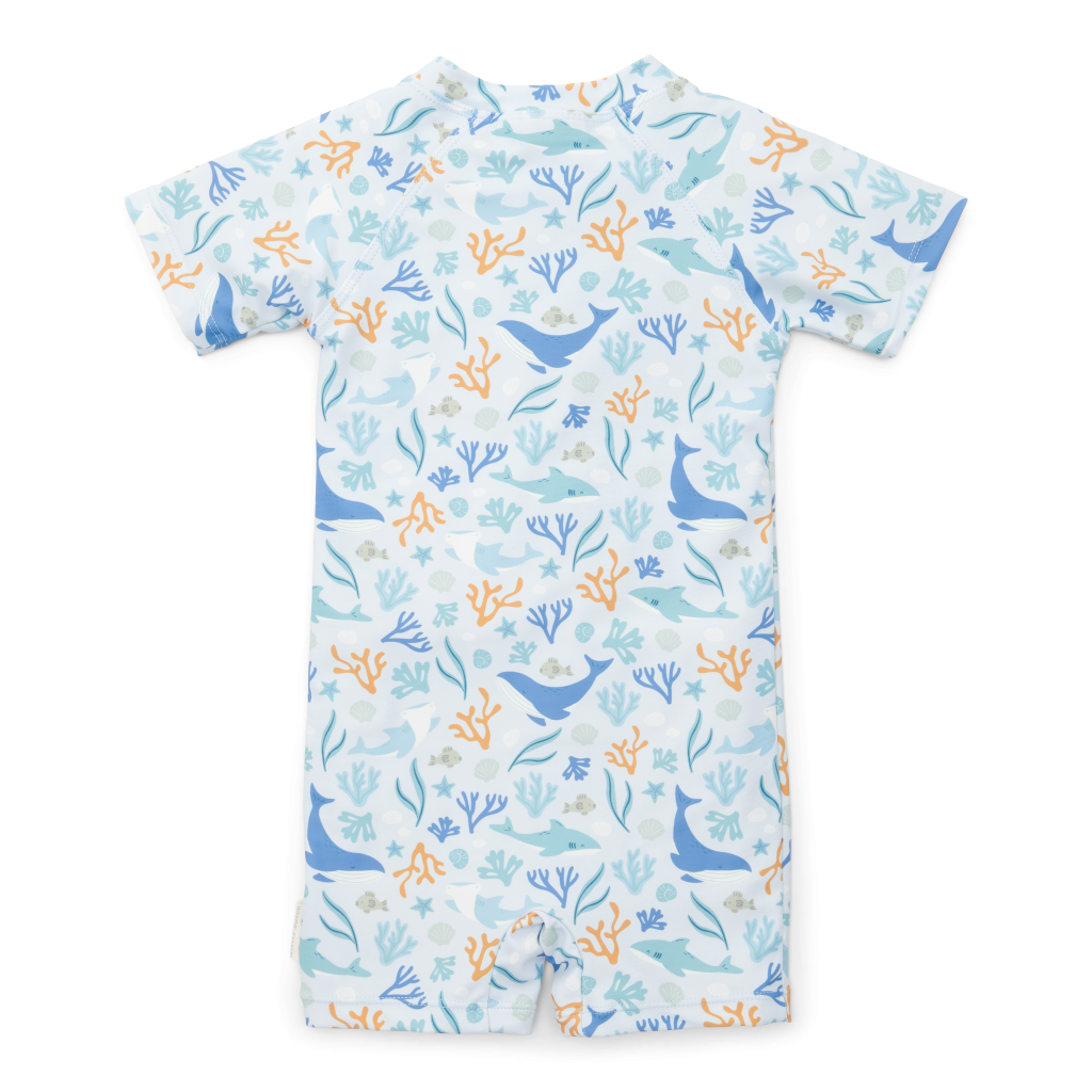 CL24048010 – CL24048011 – CL24048012 – CL24048013 – product – Swimsuit short sleeves Ocean Dreams Blue (2)