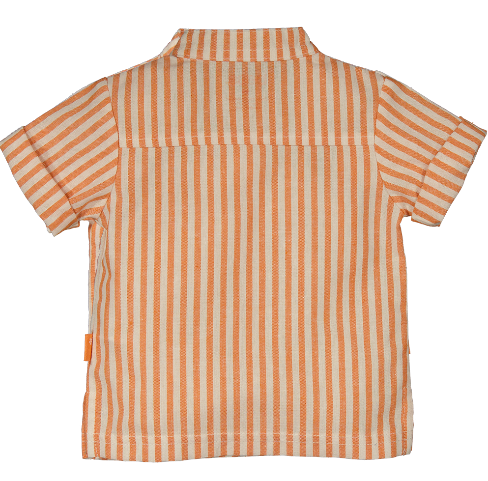 241073-075 Back