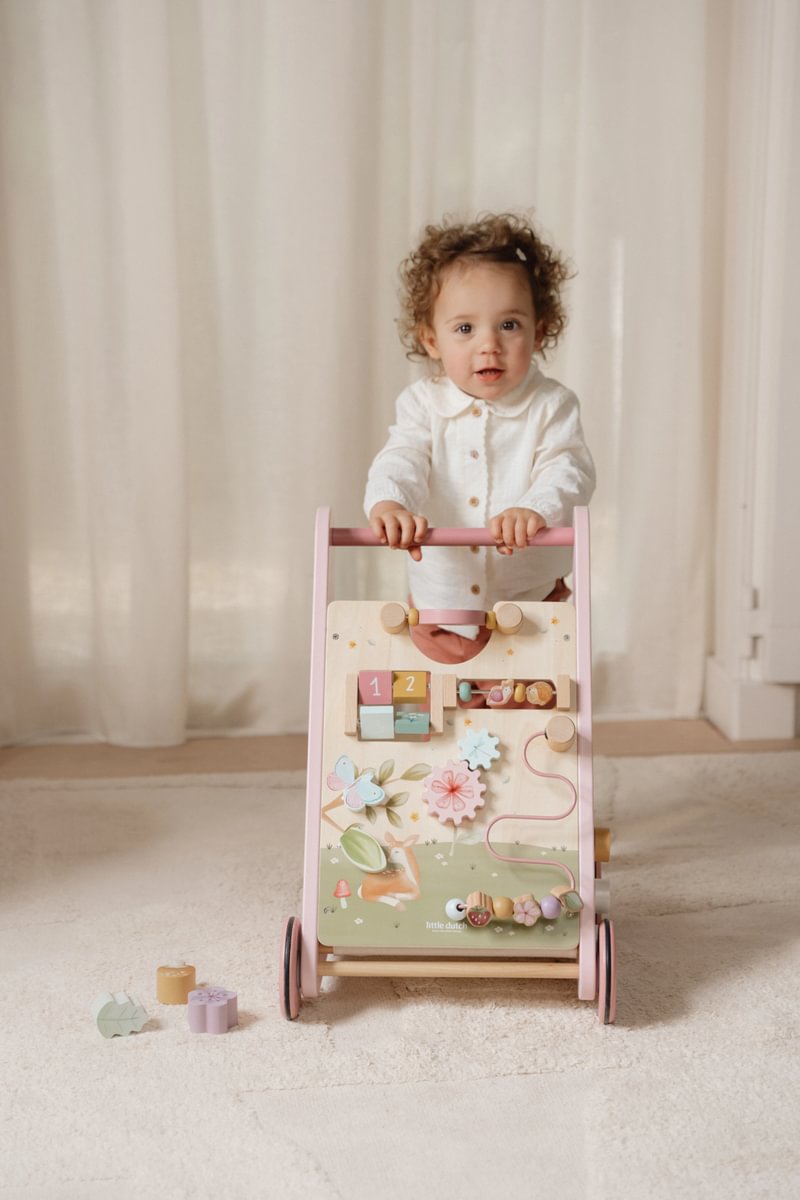 multi-activity-baby-walker-fairy-garden-ld7332-10 – Medium
