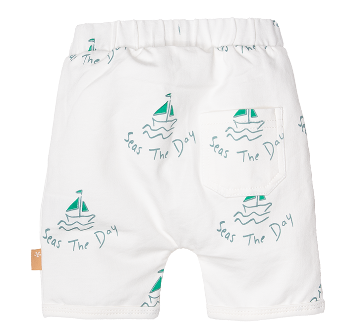 251085 016 Shorts AOP Back