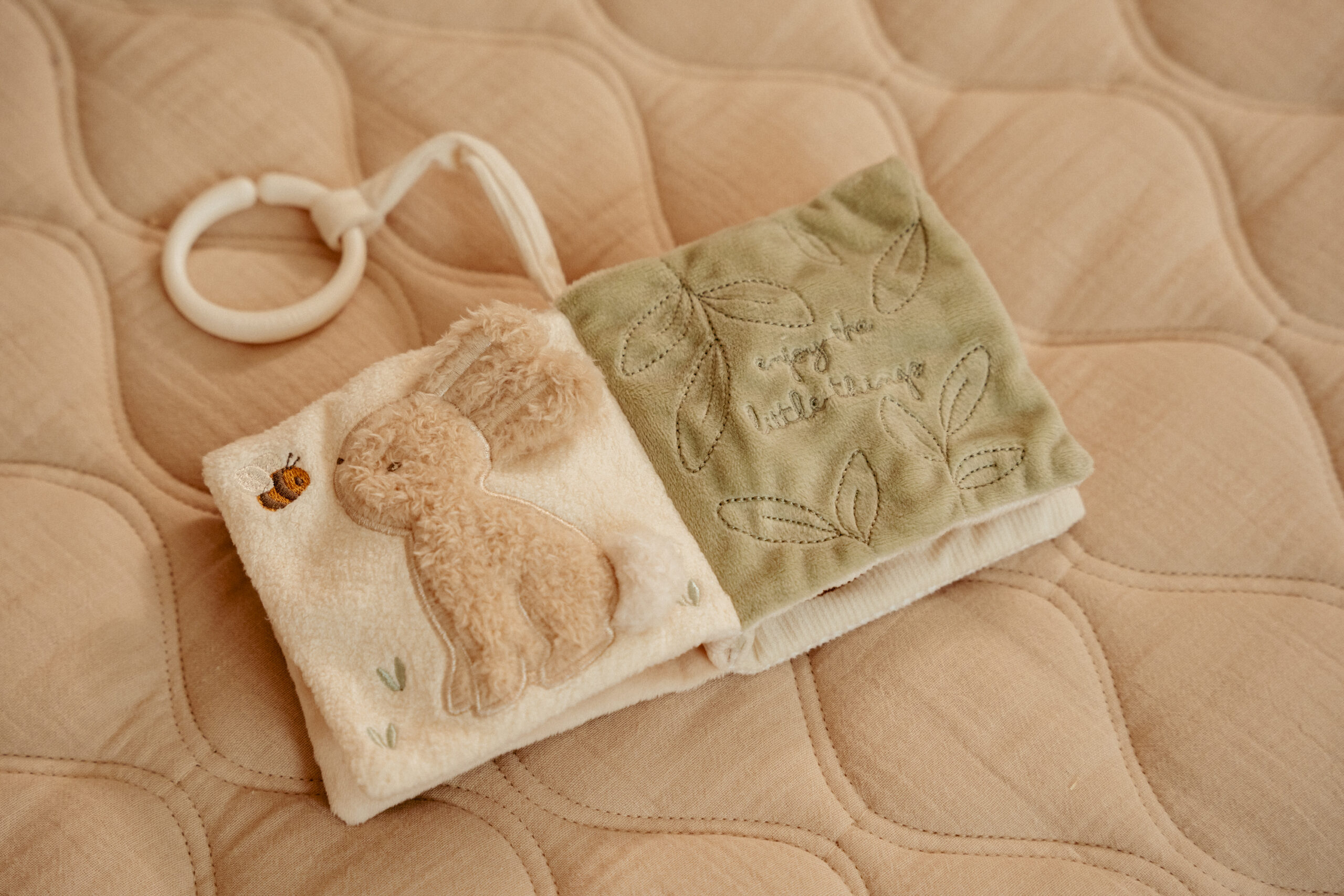 LD8419 stroller book nbsb_5