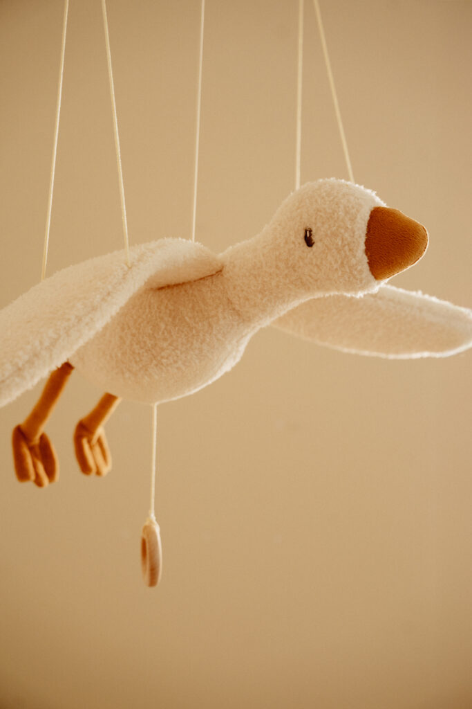 LD8424 flying goose nbsb_1