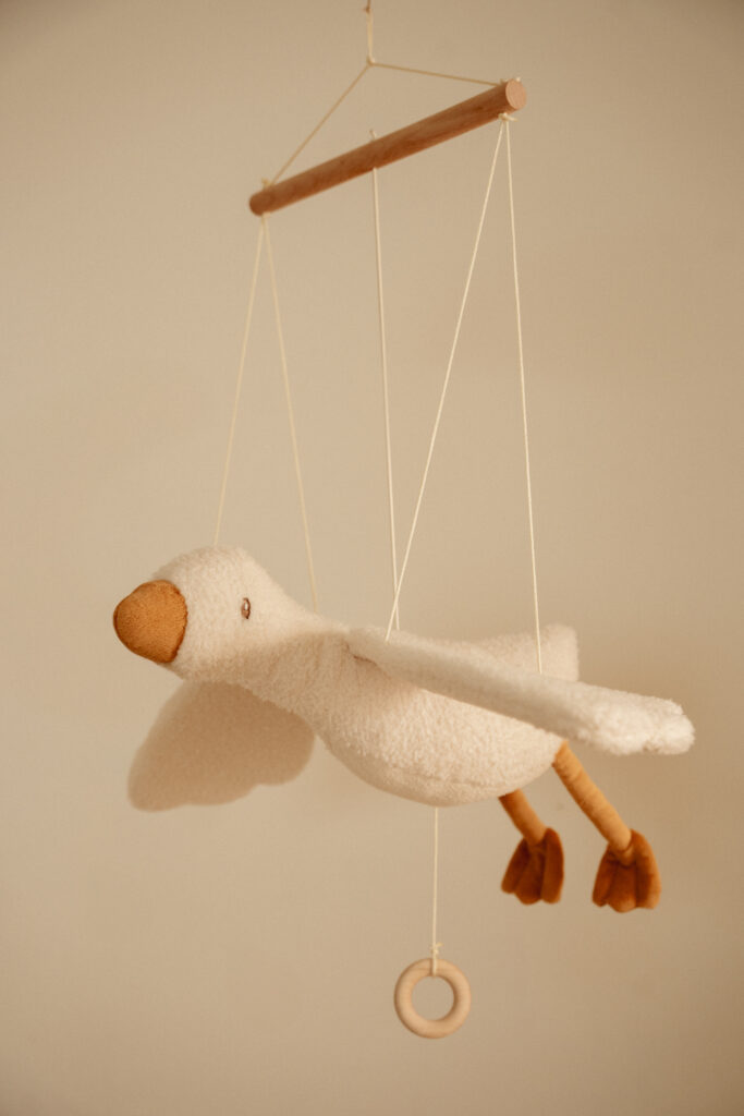 LD8424 flying goose nbsb_2