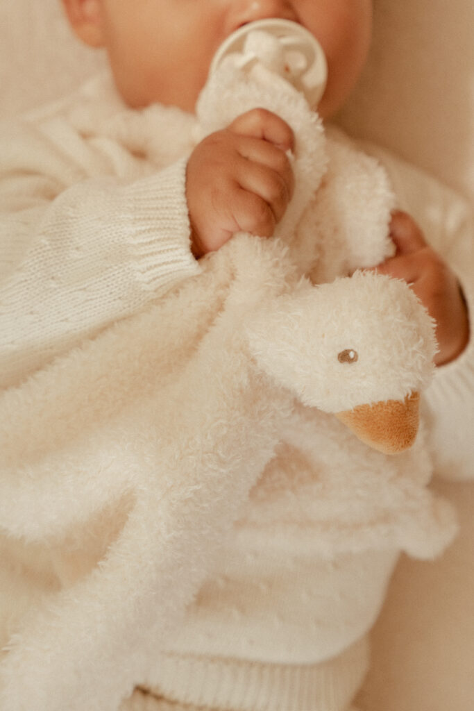LD8427 cuddle cloth goose nbsb_6