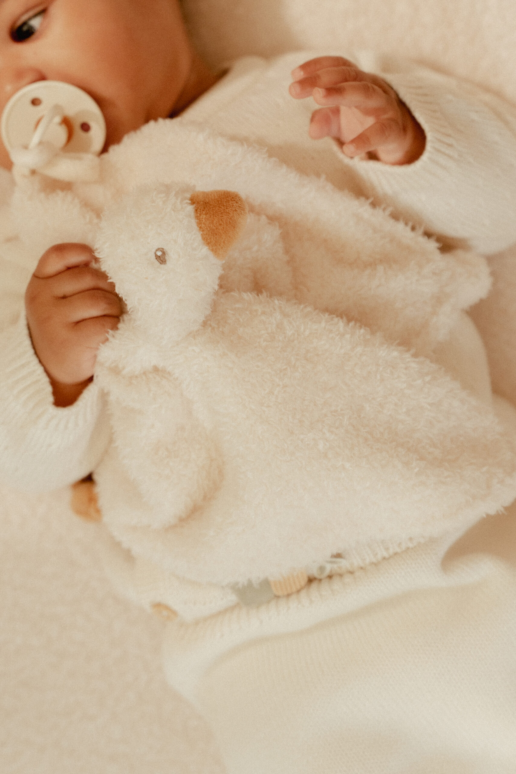 LD8427 cuddle cloth goose nbsb_7