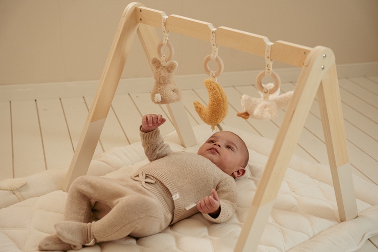 LD8410 babygym nbsb_1