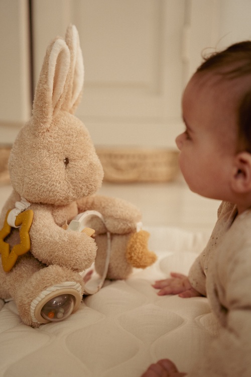LD8430 Activity bunny nbsb_3