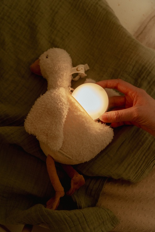 LD8440 light&sound goose nbsb_9