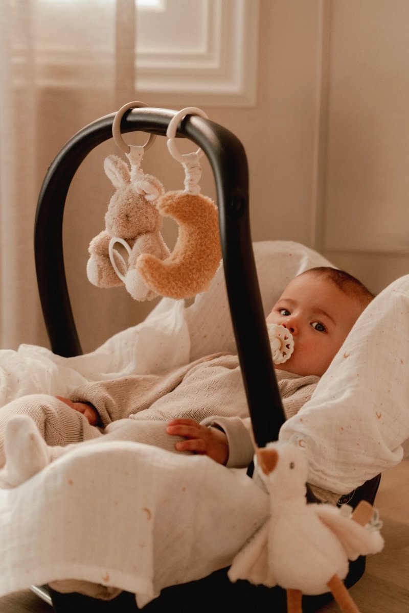 activity-hangers-newborn-naturals-ld8420-4 – Medium