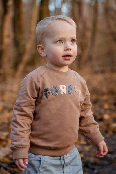 aw25-toddler-forest-friends-fairy-garden-82 – Small