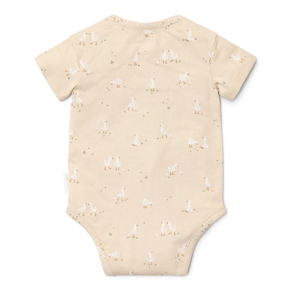 bodysuit-short-sleeves-little-goose-cl25290001-cl25290002-cl25290003-cl25290004-cl25290005-cl25290006-product-2 – Medium