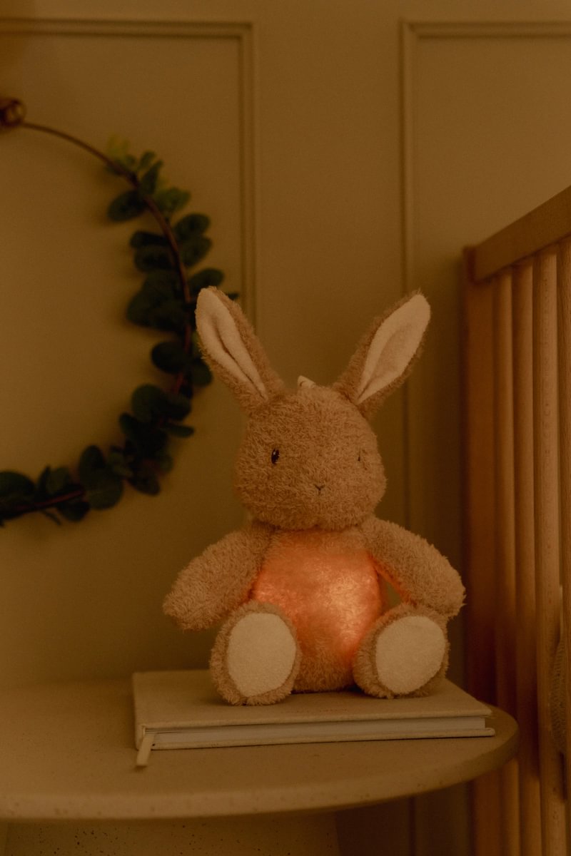 cuddle-bunny-light-and-sound-ld8441-5 – Medium