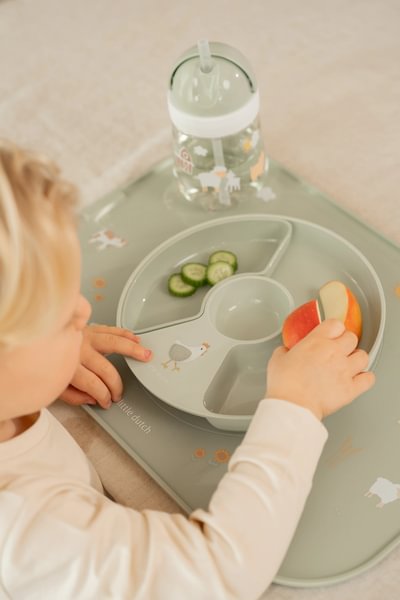 placemat-mepal-mio-divider-plate-108035065399-108002565399-1 – Small
