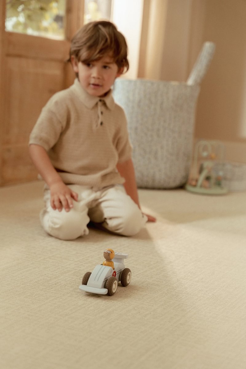 pullback-race-cars-ld2526-3 – Medium