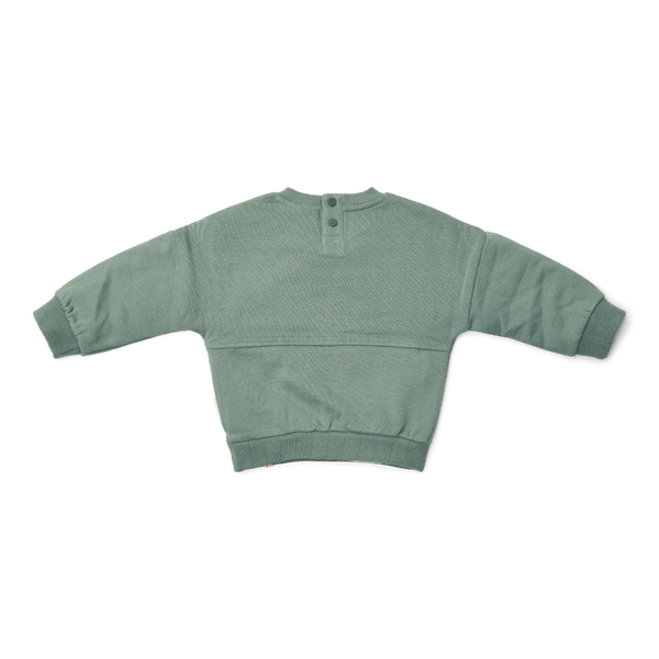 sweater-forest-green-cl25092055-cl25092056-cl25092057-cl25092058-cl25092059-cl25092060-product-2 – Small