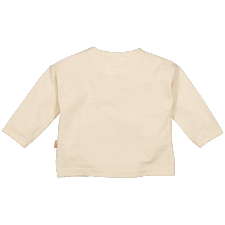 252011-034 Back