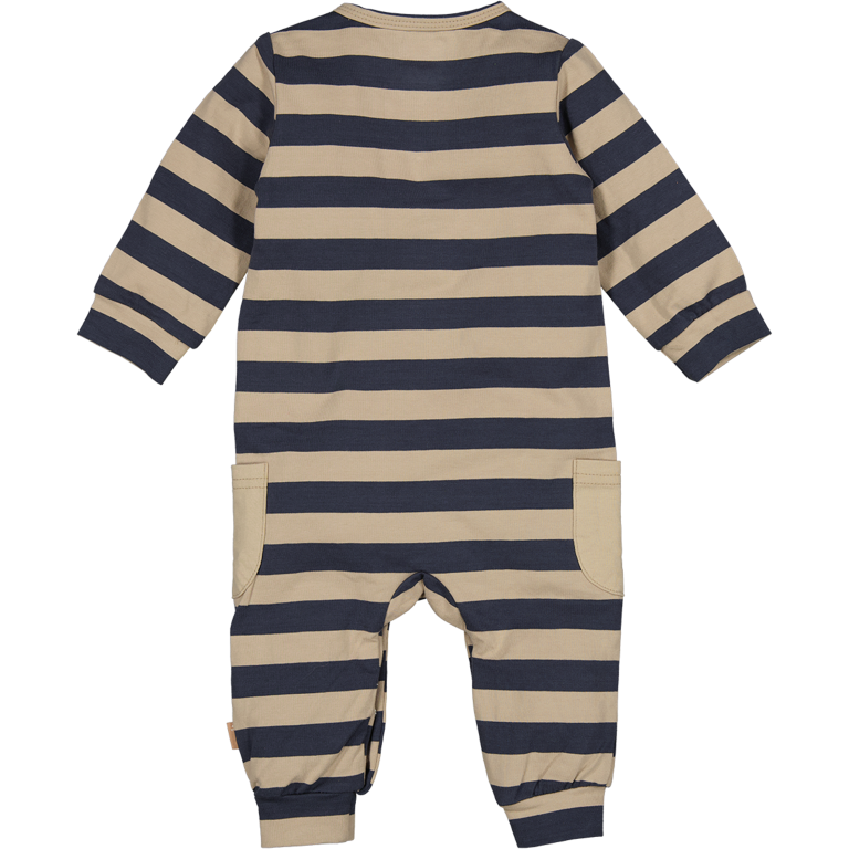 252026_016 Back 252026_016 Back