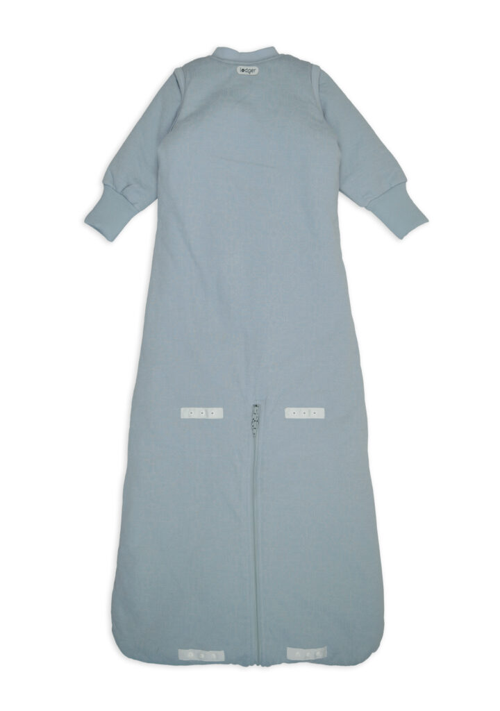 blue fogg 2