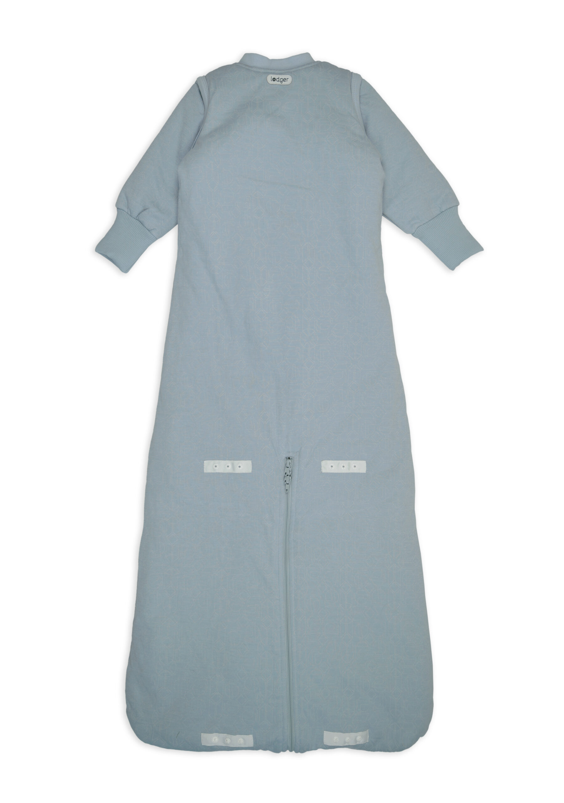blue fogg 2