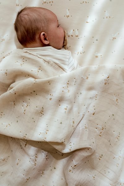 kidsroom-inspiration-textile-2025-2026-30 – Small