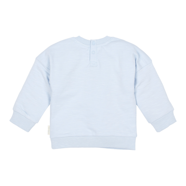 sweater-light-blue-CL26022110-CL26022111-CL26022112-CL26022113-CL26022114-CL26022115-product-2 – Small