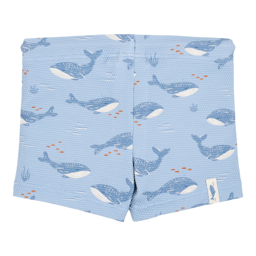 swim-shorts-ocean-splash-CL26030501-CL26030502-CL26030503-CL26030504-product-2 – Medium