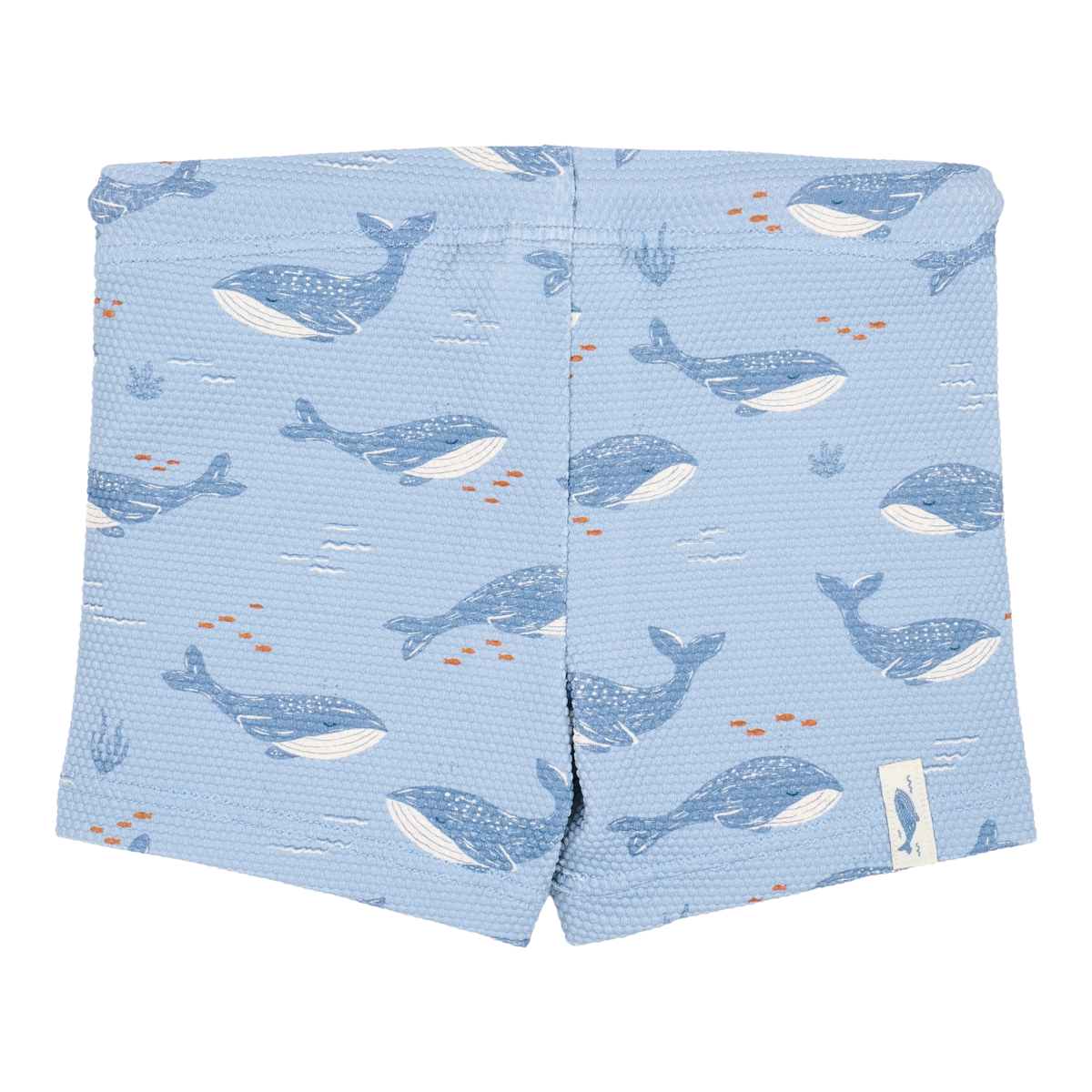 swim-shorts-ocean-splash-CL26030501-CL26030502-CL26030503-CL26030504-product-2 – Medium